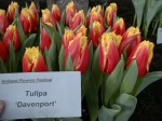 [Davenport IBC page 43 .jpg]